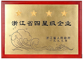 Zhejiang Four Star Enterprises (1999)