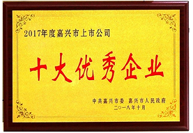 Jiaxing City Top 10 Outstanding Enterprises in 2017