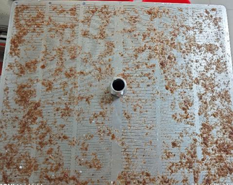 Fig. 9: Sieve residues of Sample C.